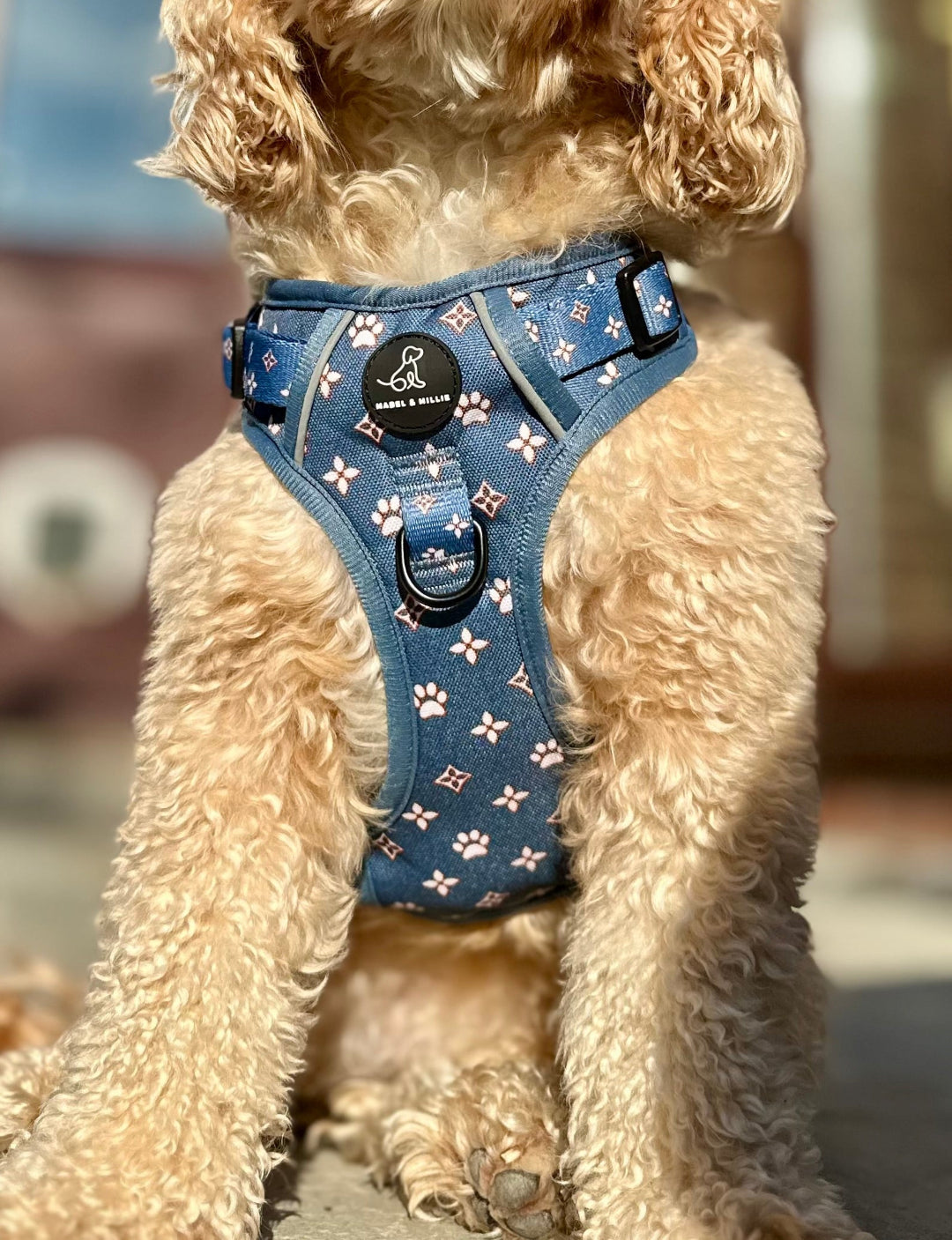 Denim dog harness in blue with paw print design