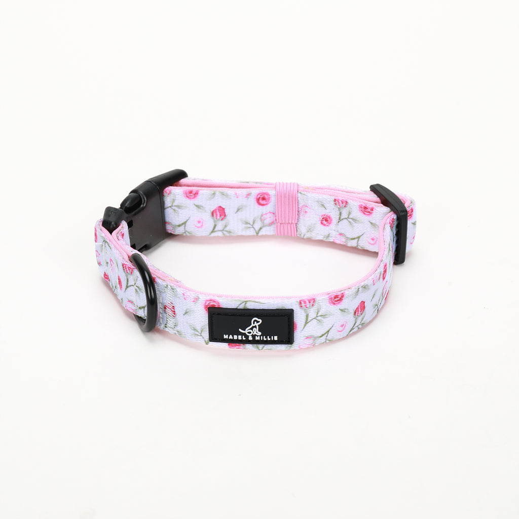 Flora dog collar in white with soft pink pastel roses 