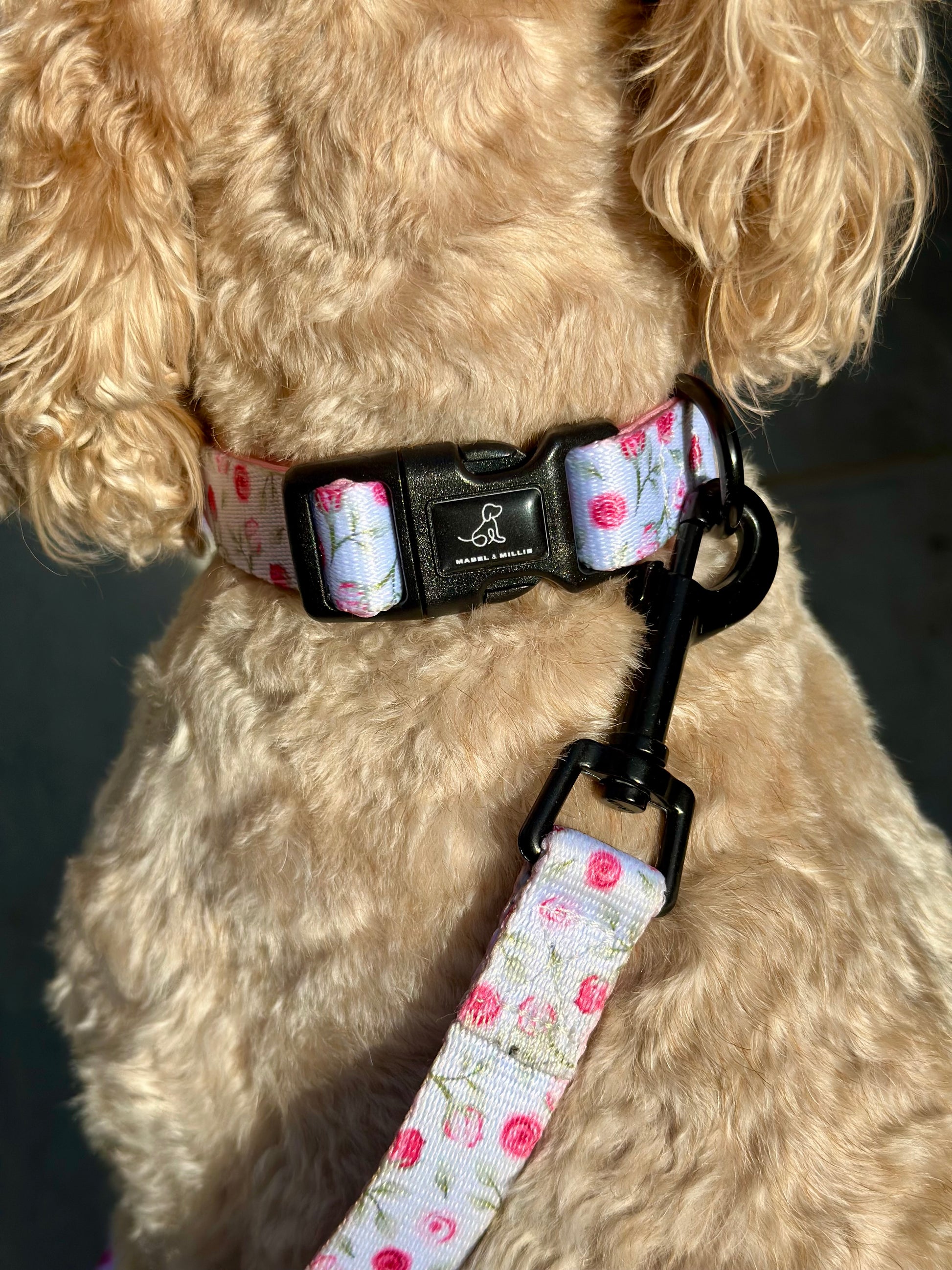 Flora dog lead in white with soft pink pastel roses 